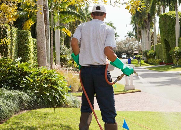 About Scranton IA Pest Control Pros